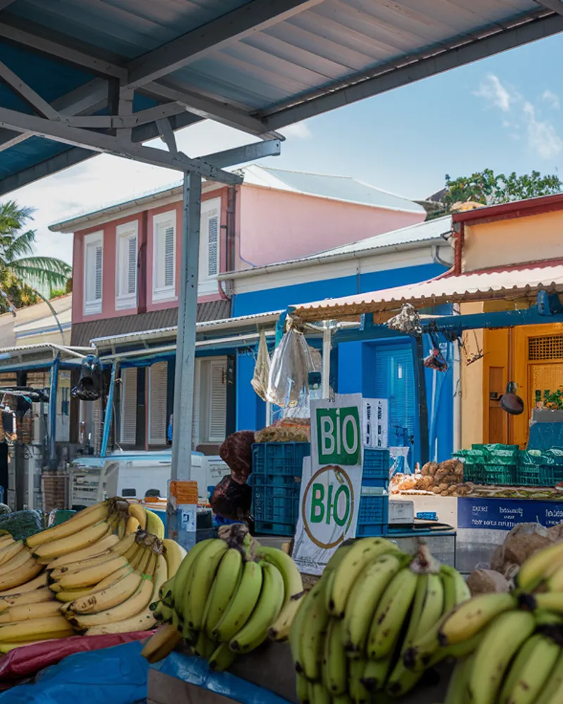 Actualité économique DOM — Eco Antilles