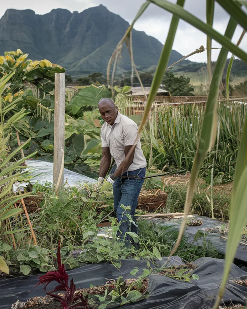 Innovation verte — Eco Antilles